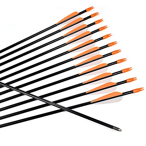 Fiberglass Arrows 30 Inch Target Shooting Safetyglass Recurve Bows N734010