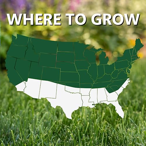 Black Beauty Dense Shade Grass Seed 7 lb O6133