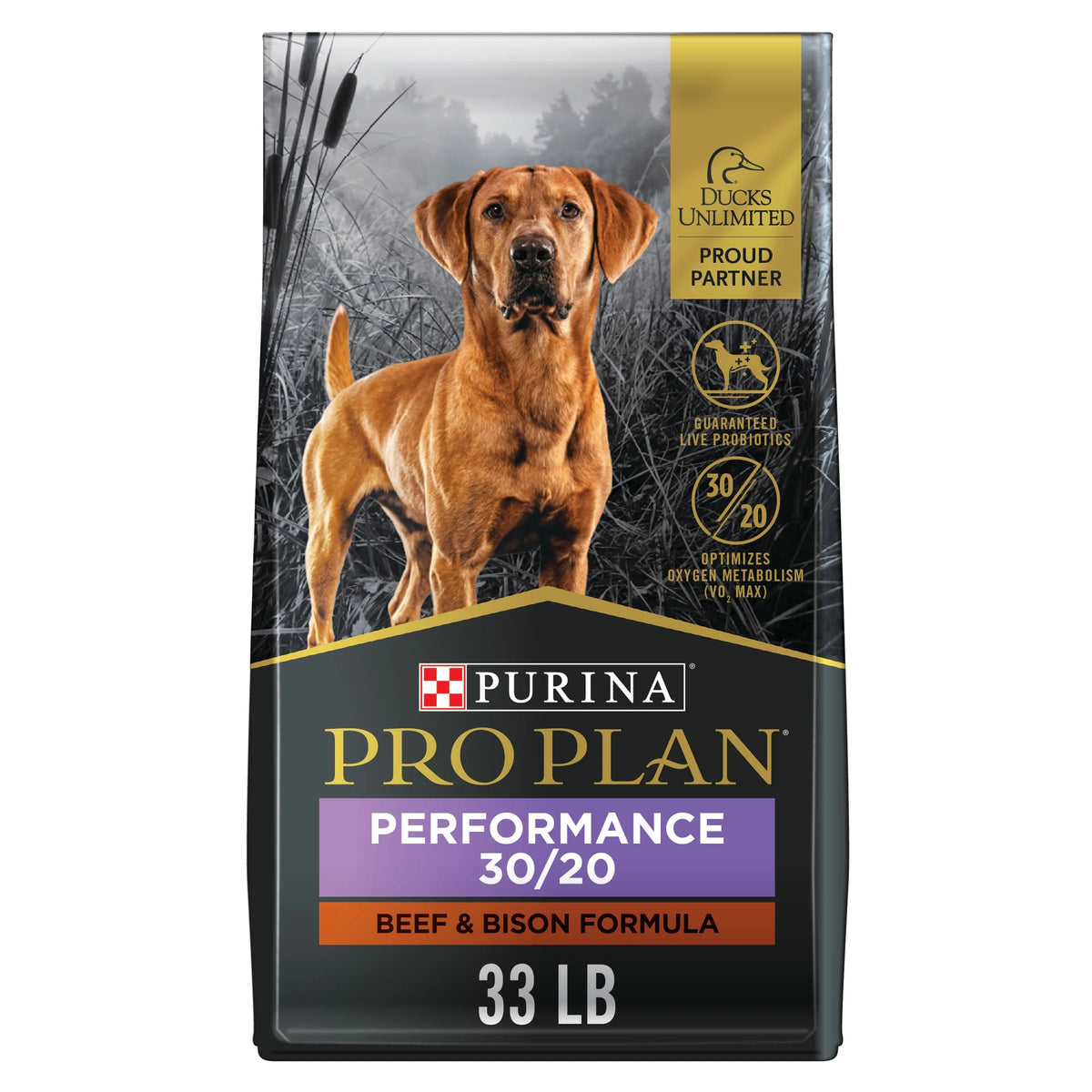 33 lb Dry Dog Food Beef Bison A3375