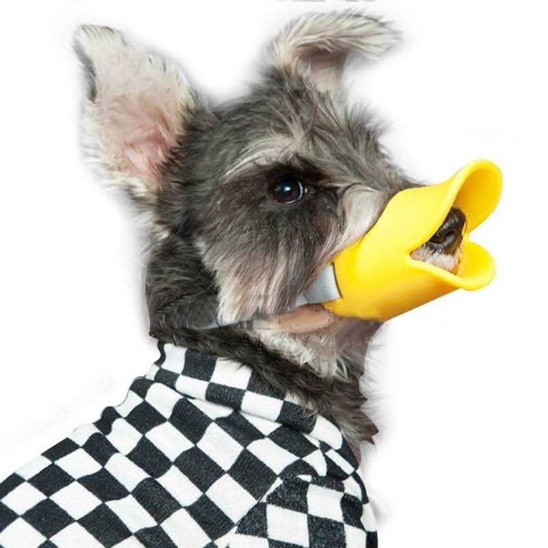 Anti Bite Dog Mouth Covers Muzzle Masks C290