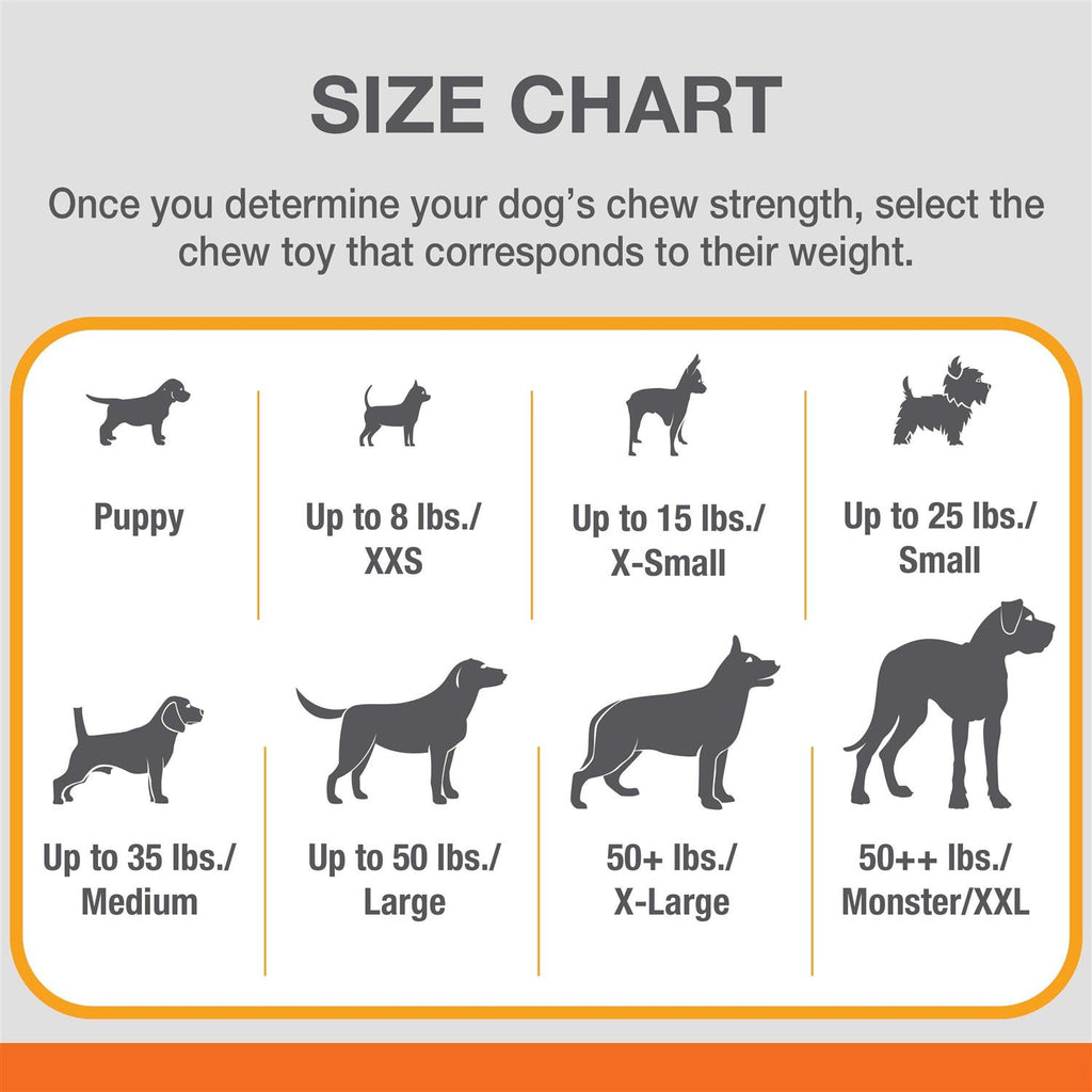 Daily Dental Chew Toy Y84079