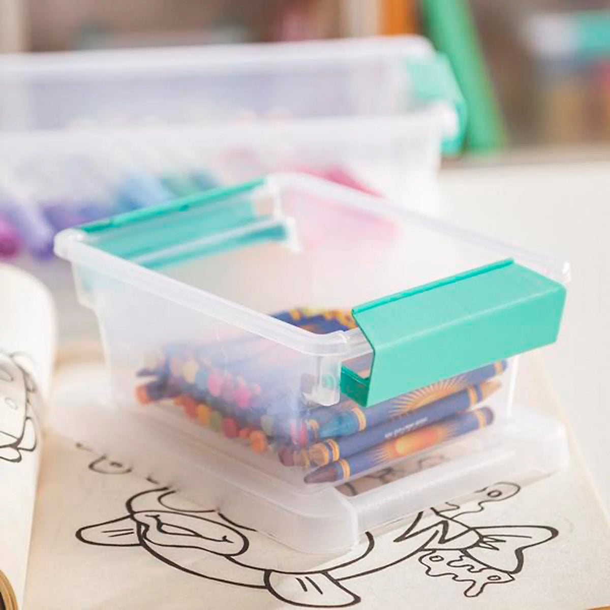 Mini Clip Storage Box 6 Pack and Medium Clip Storage Box 4 Pack T699105