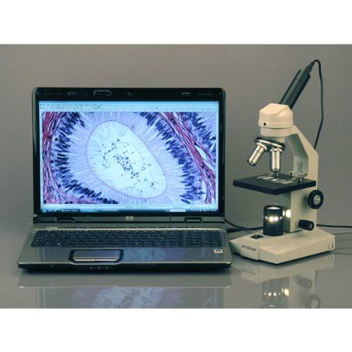40X-1000X Student Compound Microscope with Mechanical Stage N83108