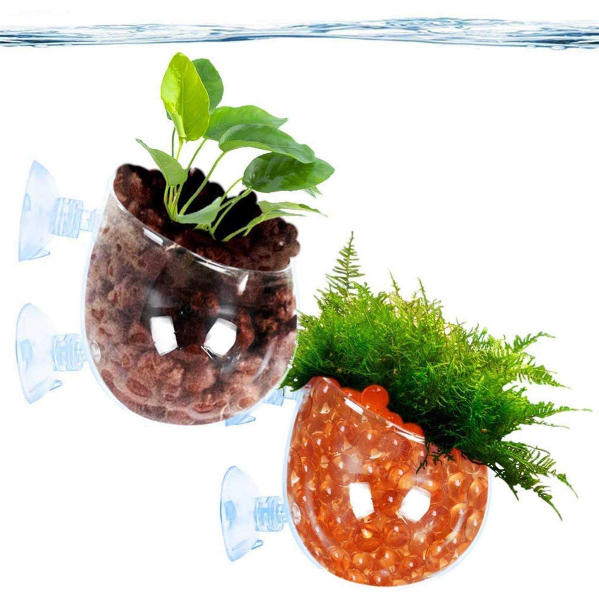 Aquatic Plant Pot with Suction Cups G71528