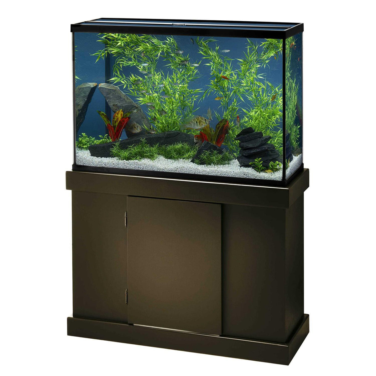 Bamboo H490803