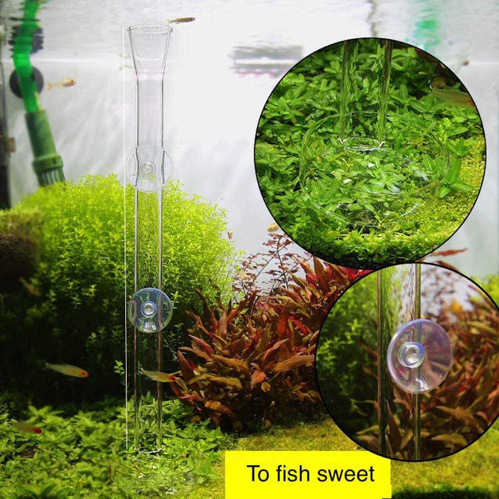 Aquarium Shrimp Feeding Tube and Dish Clear Crystal Glass Z88700