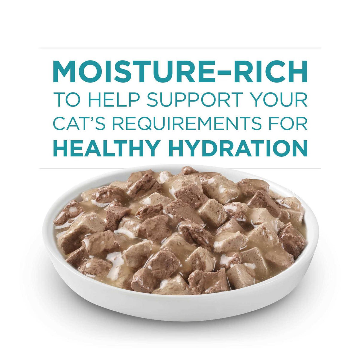 Cat Food Y2389
