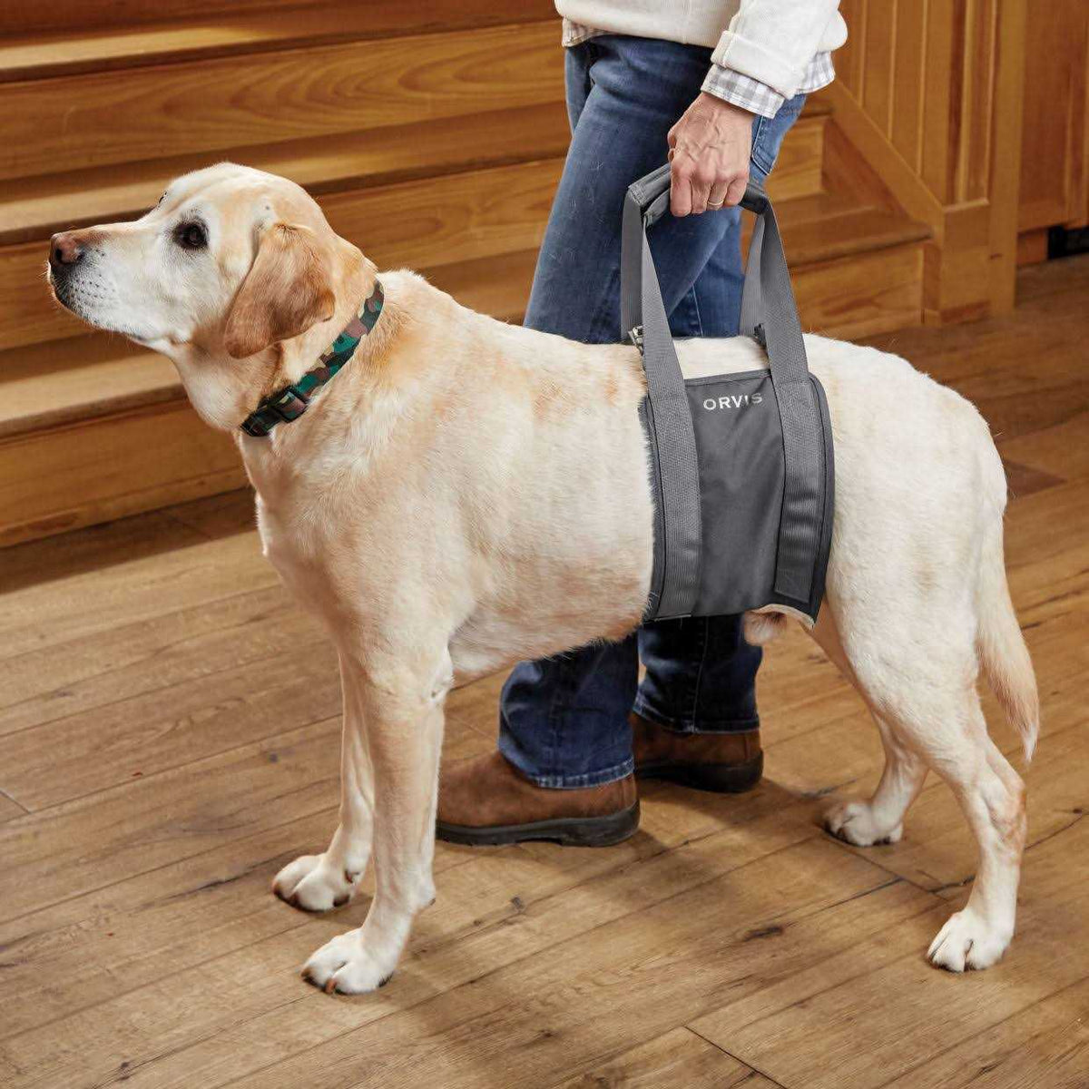 Gray Rear Dog Lift Z41598