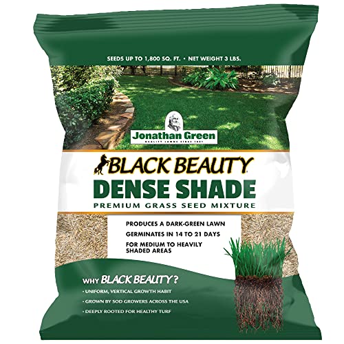 Black Beauty Dense Shade Grass Seed 7 lb O6133