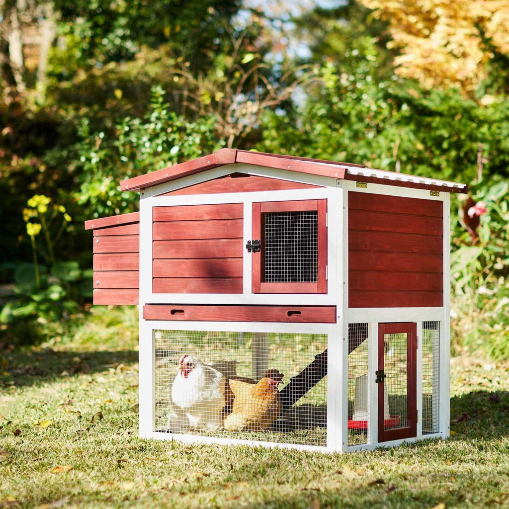 Wooden Outdoor Chicken Coop K905912