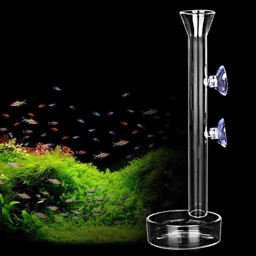 Aquarium Shrimp Feeding Tube and Dish Clear Crystal Glass Z88700