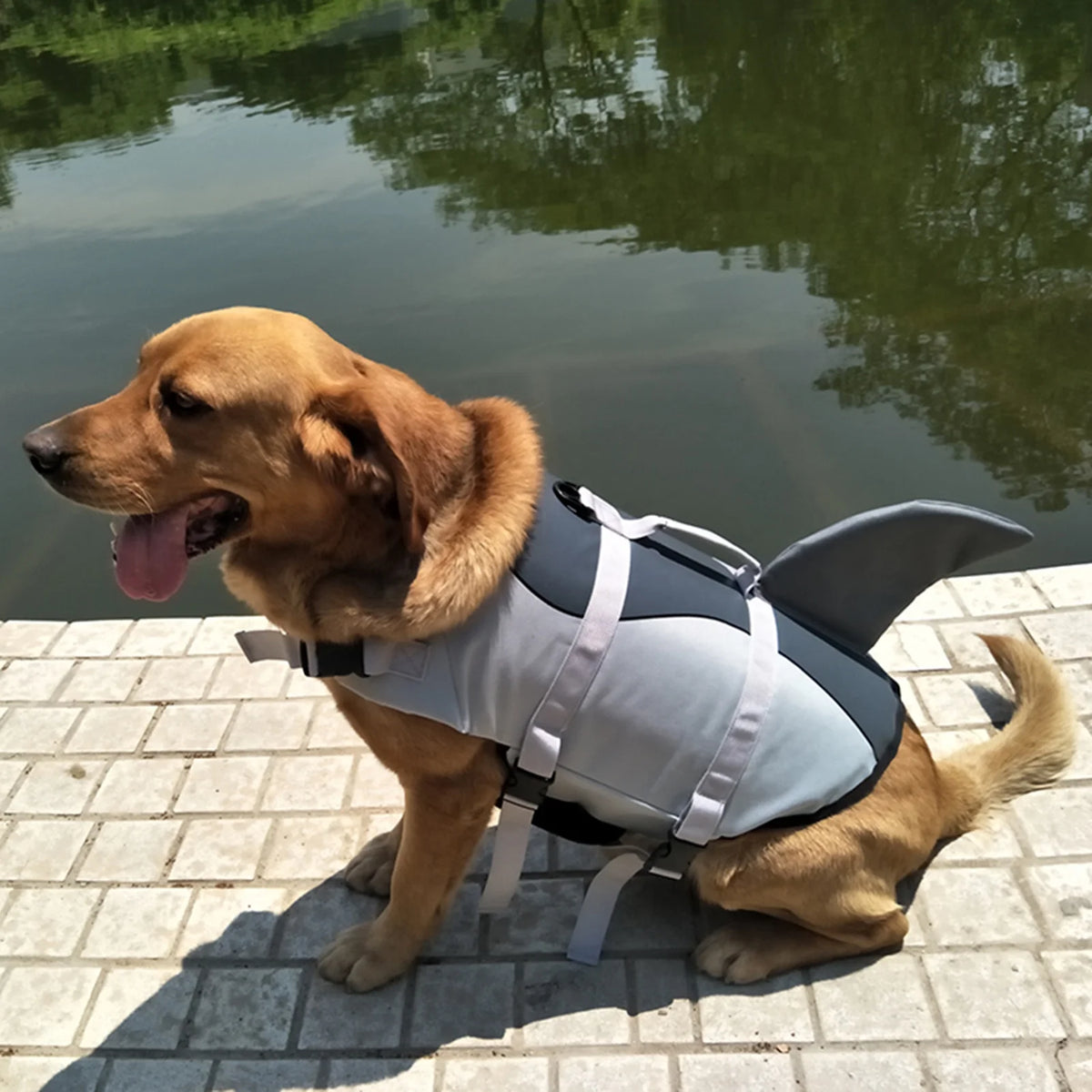 Dog Pet Shark Swimsuit Vest Safety Wear X158265