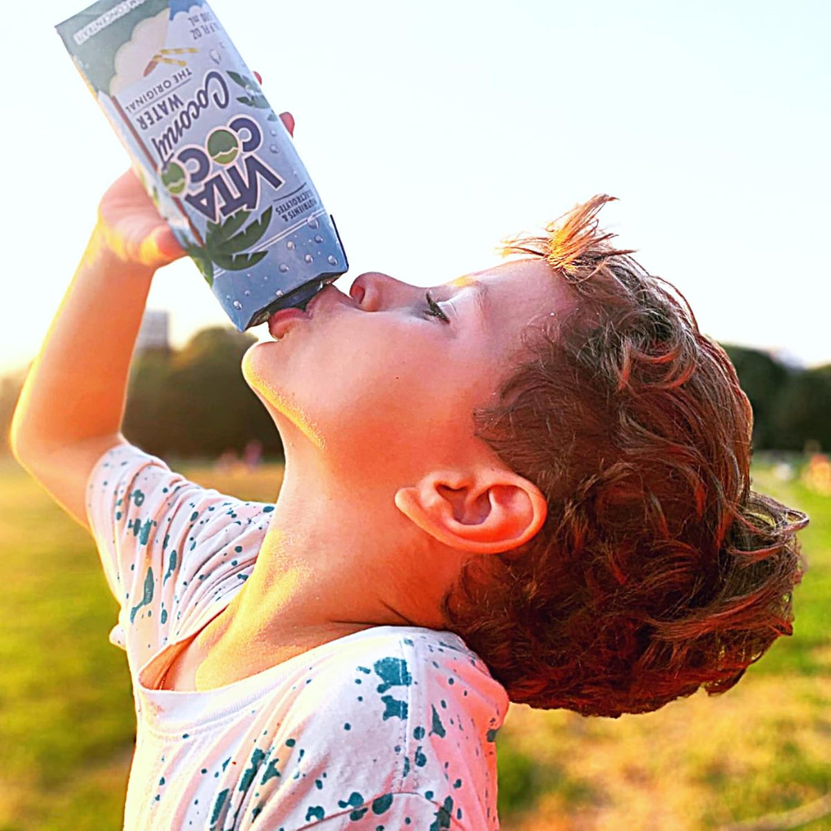 Coconut Water 11.1 Fl Oz Pack of 7 P8479