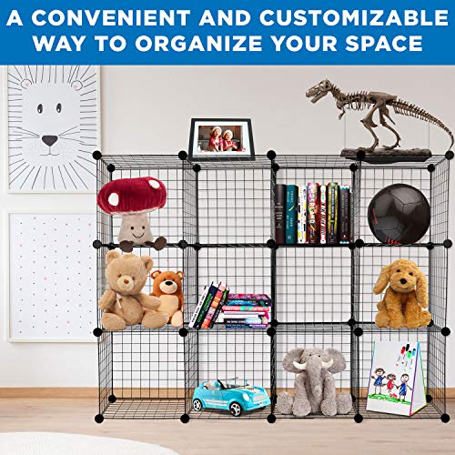 12-Cube Black Metal Wire Storage Organizer T683408