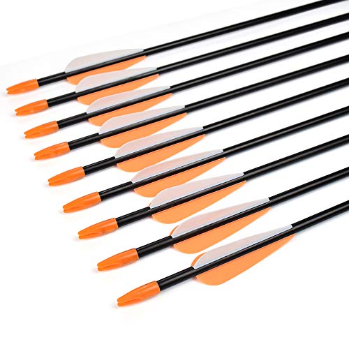 Fiberglass Arrows 30 Inch Target Shooting Safetyglass Recurve Bows N734010