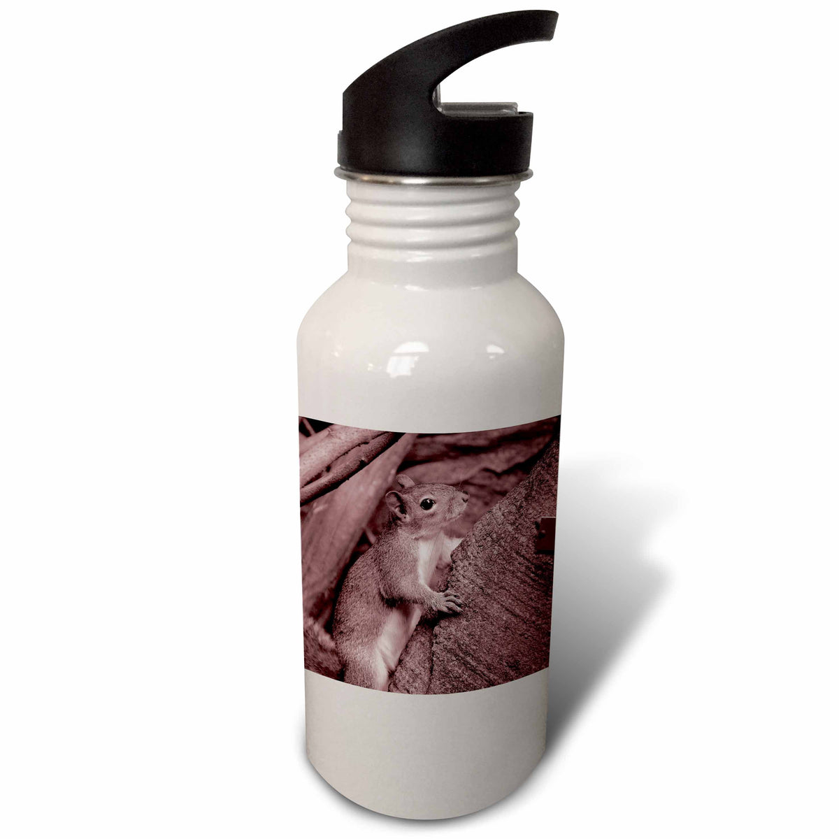 Reddish 21 oz Sports Water Bottle N54339