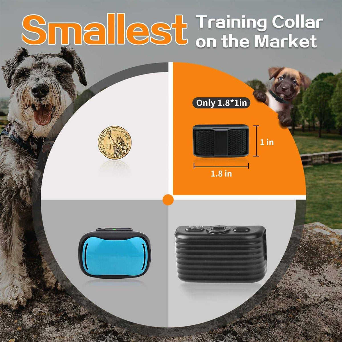 Dog Training Collar with Remote J1663
