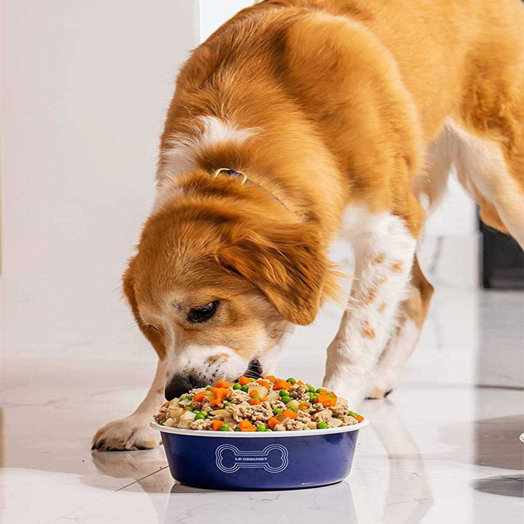 Dog Bowl G75535