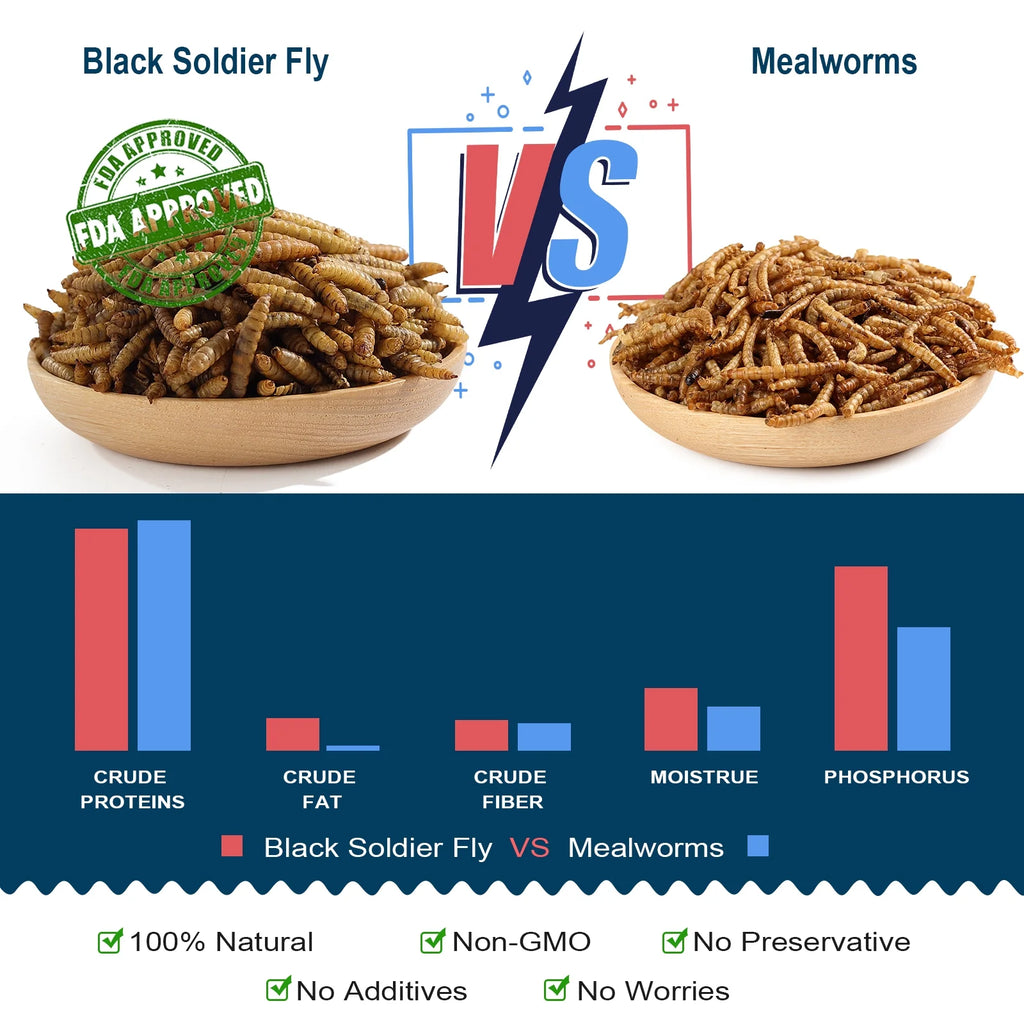 4LB Non-GMO Dried Black Soldier Fly Larvae F702