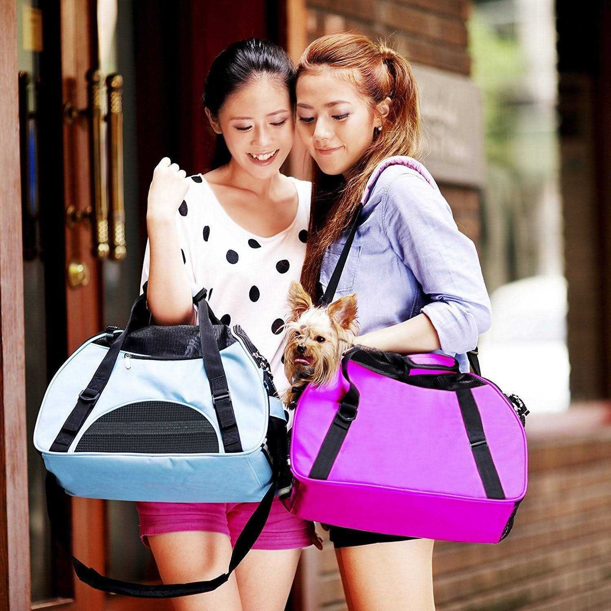 Soft-Sided Pet Travel Carrier K6555