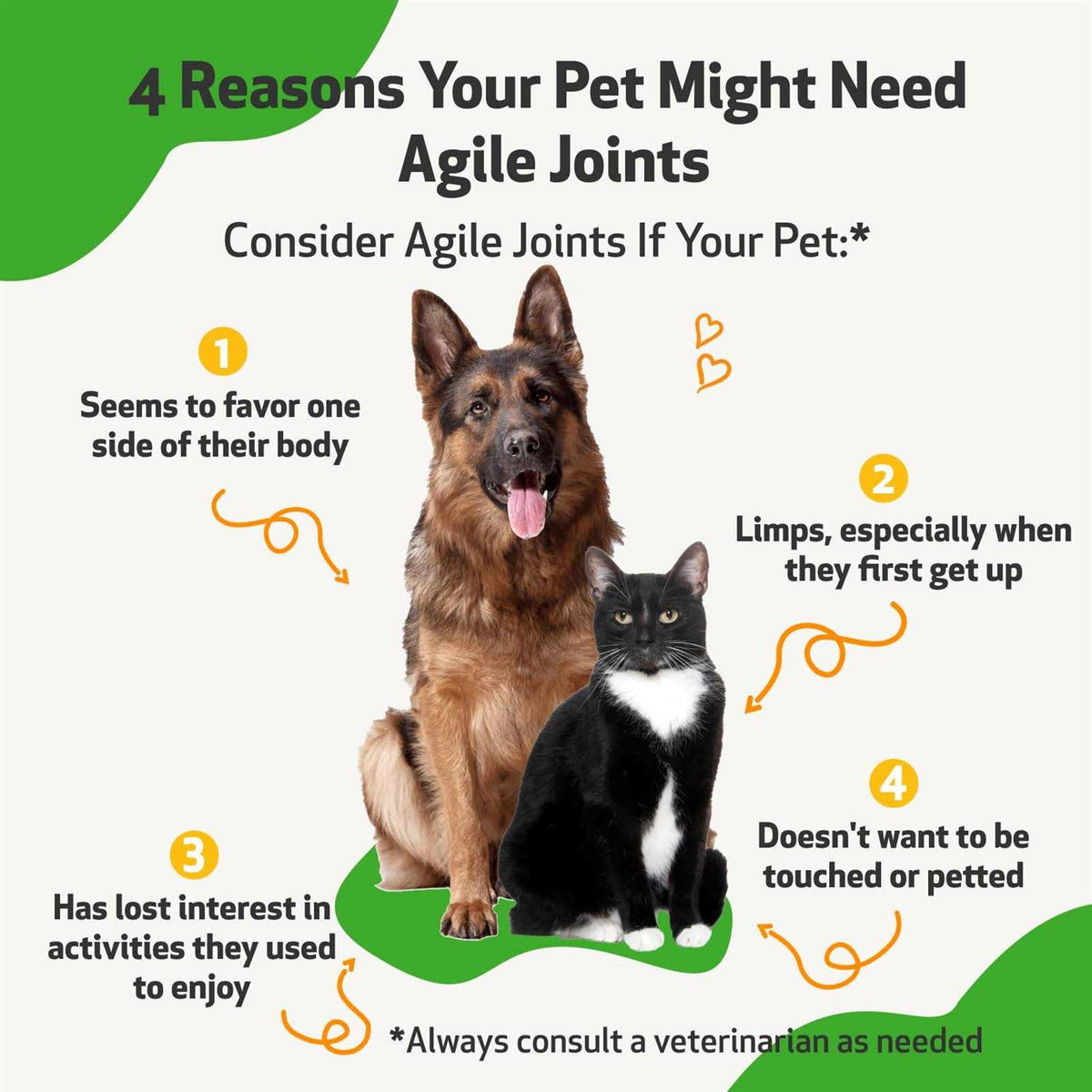 Agile Joints Pet Supplies M47648