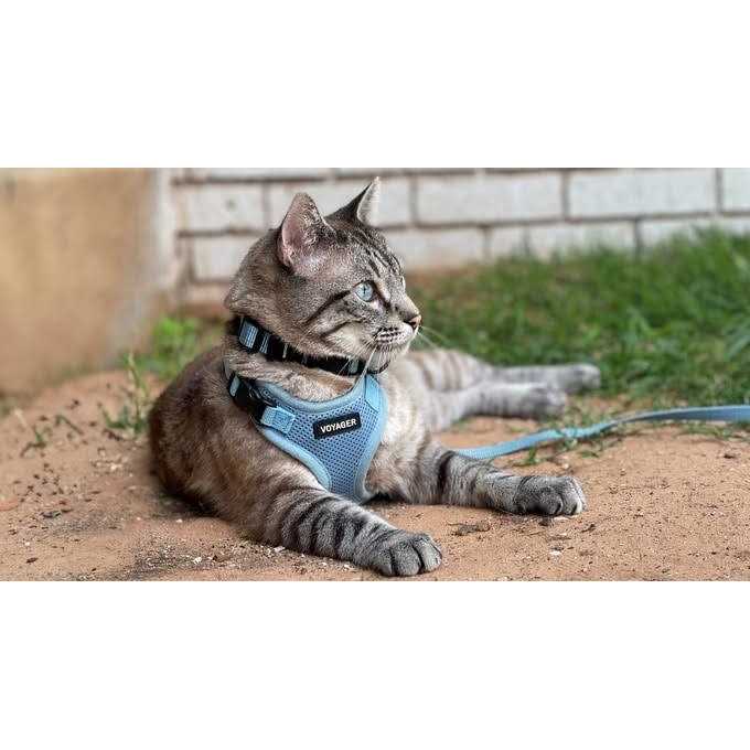 Adjustable All Weather Mesh Step-in Pet Harness U453