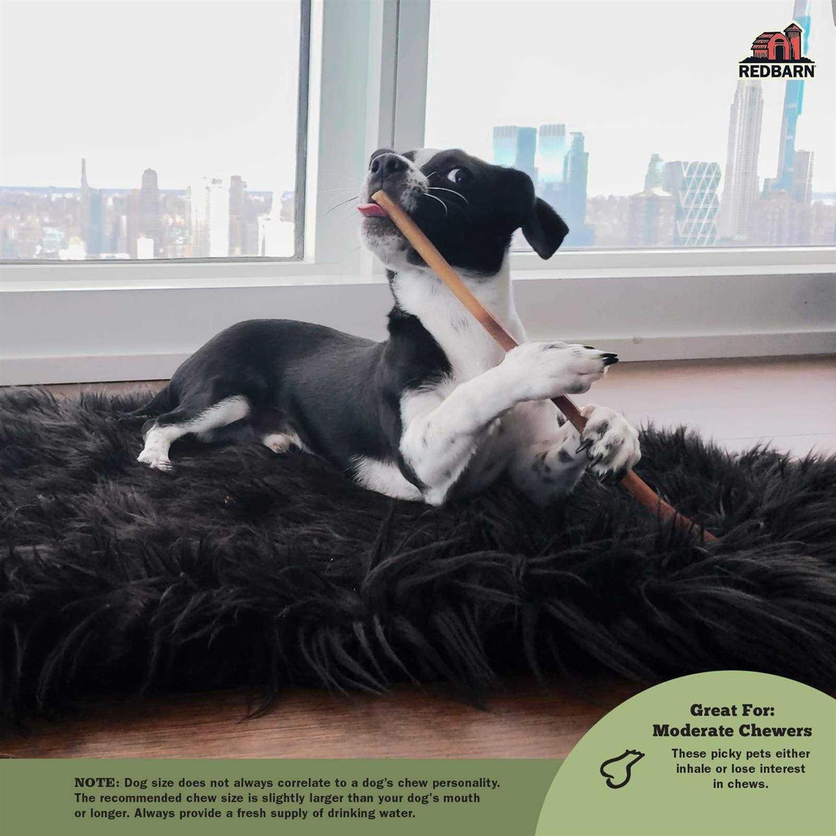 Bully Stick T69087