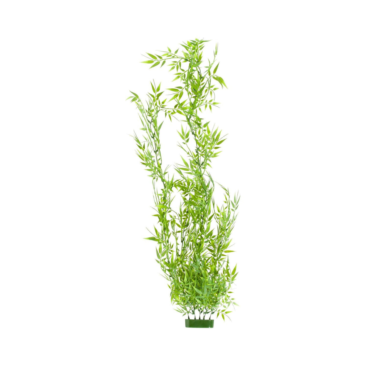 Bamboo H490803