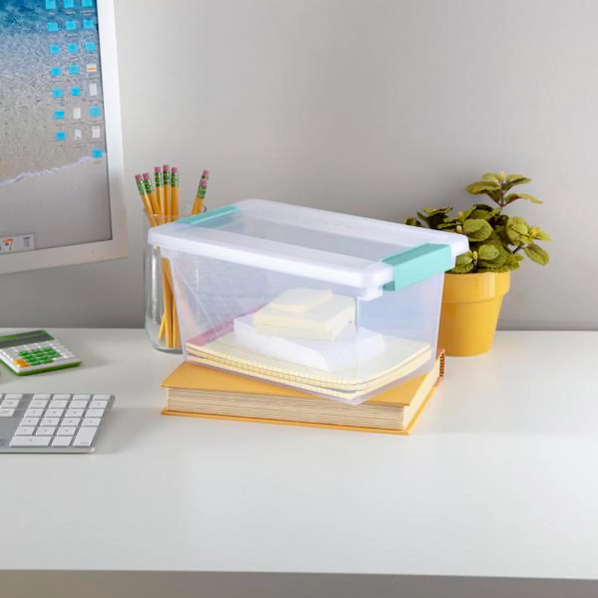 Mini Clip Storage Box 6 Pack and Medium Clip Storage Box 4 Pack T699105
