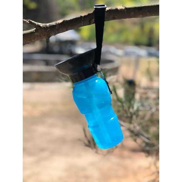 Blue Dog Bowl Water Bottle E215720